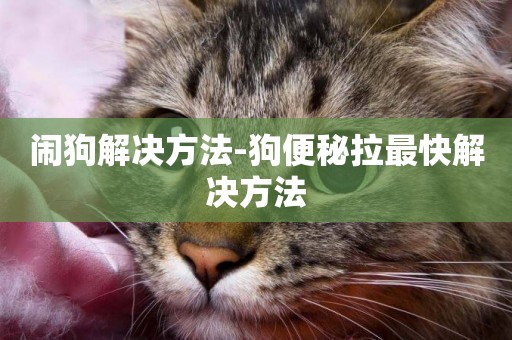 鬧狗解決方法-狗便秘拉最快解決方法