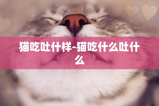 貓吃吐什樣-貓吃什么吐什么