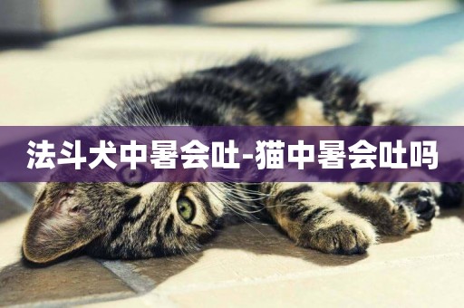 法斗犬中暑會吐-貓中暑會吐嗎