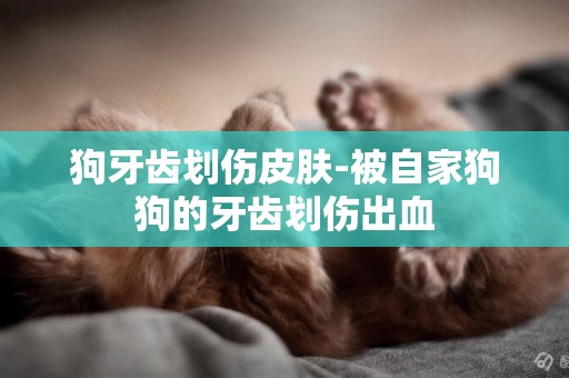 狗牙齒劃傷皮膚-被自家狗狗的牙齒劃傷出血