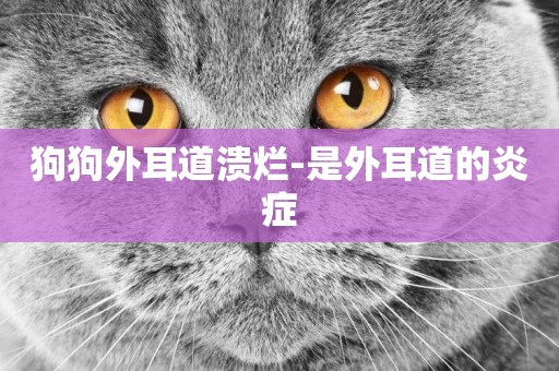 狗狗外耳道潰爛-是外耳道的炎癥