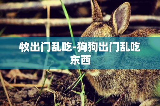 牧出門亂吃-狗狗出門亂吃東西