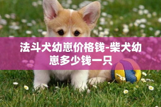 法斗犬幼崽價格錢-柴犬幼崽多少錢一只