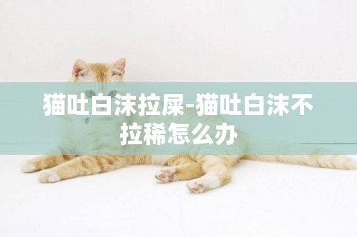 貓吐白沫拉屎-貓吐白沫不拉稀怎么辦