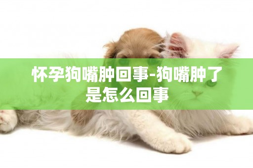 懷孕狗嘴腫回事-狗嘴腫了是怎么回事