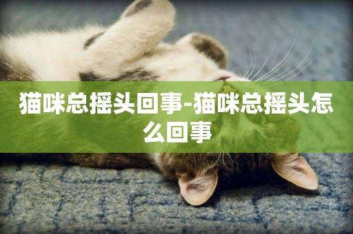 貓咪總搖頭回事-貓咪總搖頭怎么回事