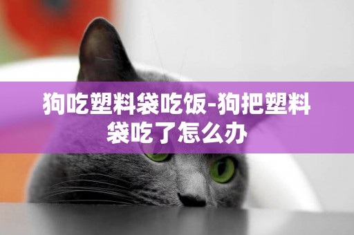 狗吃塑料袋吃飯-狗把塑料袋吃了怎么辦