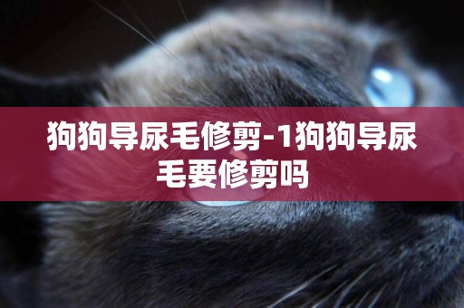 狗狗導尿毛修剪-1狗狗導尿毛要修剪嗎
