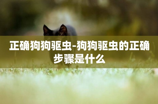 正確狗狗驅蟲-狗狗驅蟲的正確步驟是什么