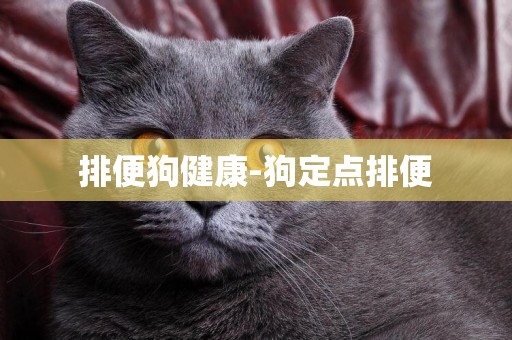 排便狗健康-狗定點排便