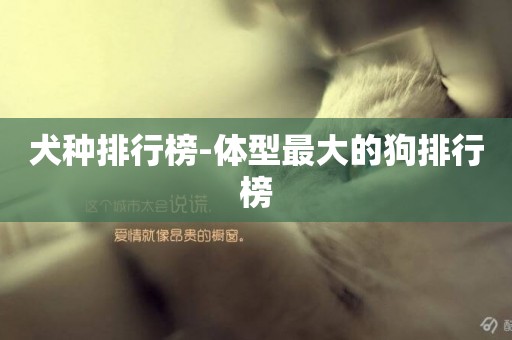 犬種排行榜-體型最大的狗排行榜