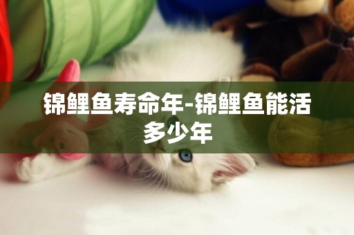 錦鯉魚壽命年-錦鯉魚能活多少年