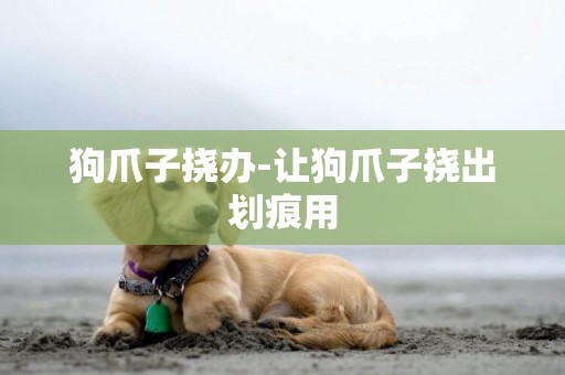 狗爪子撓辦-讓狗爪子撓出劃痕用
