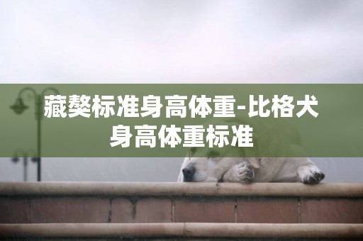 藏獒標準身高體重-比格犬身高體重標準