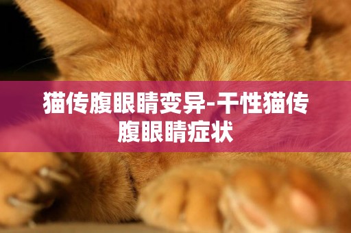 貓傳腹眼睛變異-干性貓傳腹眼睛癥狀