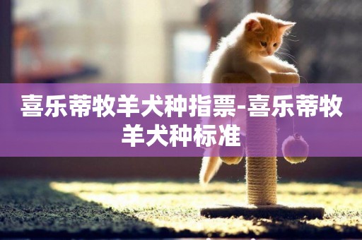 喜樂蒂牧羊犬種指票-喜樂蒂牧羊犬種標準