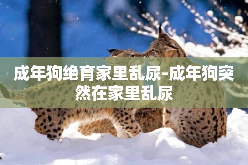 成年狗絕育家里亂尿-成年狗突然在家里亂尿