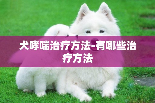 犬哮喘治療方法-有哪些治療方法