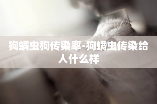 狗螨蟲狗傳染率-狗螨蟲傳染給人什么樣