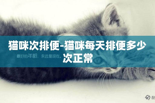 貓咪次排便-貓咪每天排便多少次正常