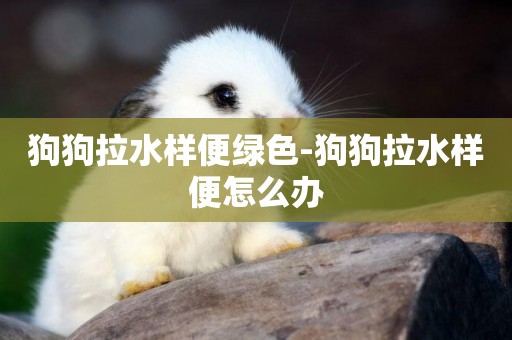 狗狗拉水樣便綠色-狗狗拉水樣便怎么辦