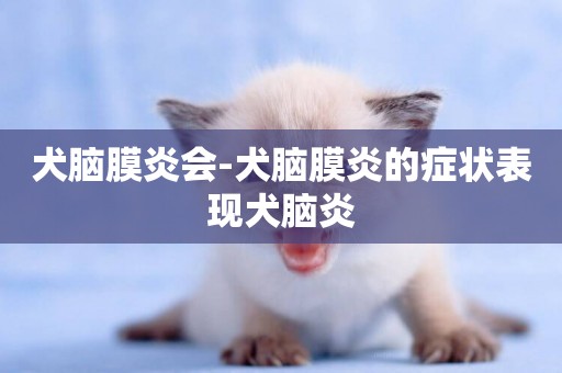 犬腦膜炎會-犬腦膜炎的癥狀表現犬腦炎
