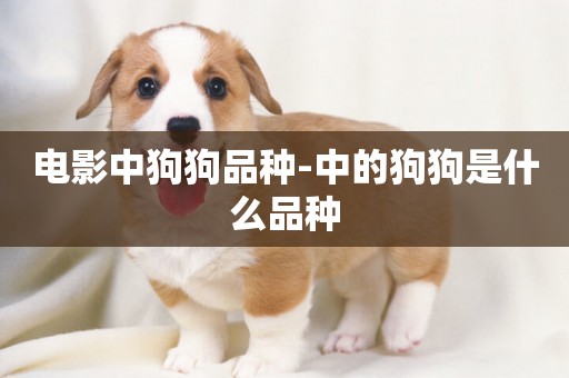 電影中狗狗品種-中的狗狗是什么品種