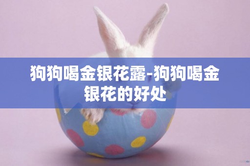 狗狗喝金銀花露-狗狗喝金銀花的好處
