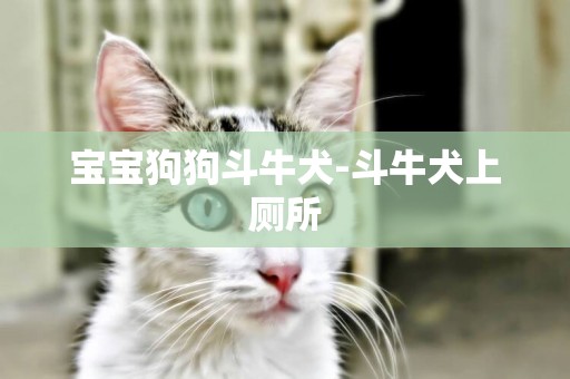 寶寶狗狗斗牛犬-斗牛犬上廁所