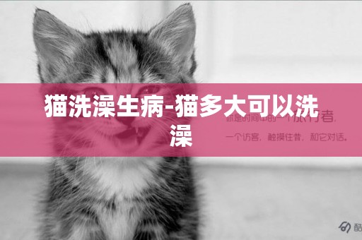 貓洗澡生病-貓多大可以洗澡