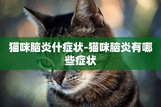 貓咪腦炎什癥狀-貓咪腦炎有哪些癥狀