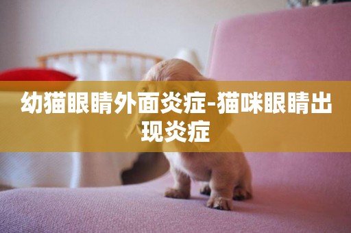 幼貓眼睛外面炎癥-貓咪眼睛出現炎癥