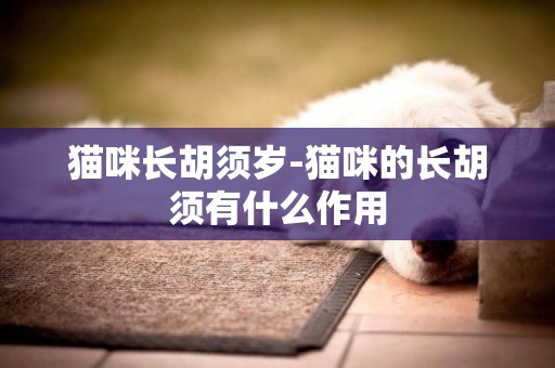 貓咪長胡須歲-貓咪的長胡須有什么作用