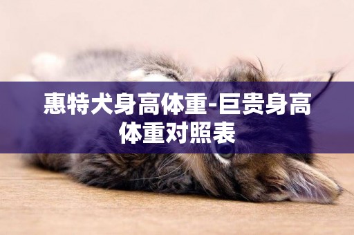 惠特犬身高體重-巨貴身高體重對照表