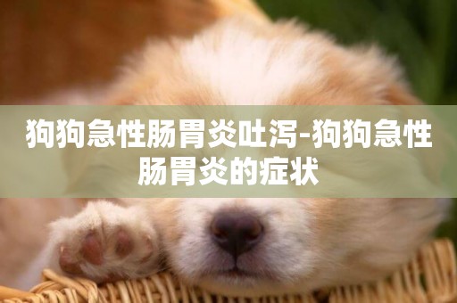 狗狗急性腸胃炎吐瀉-狗狗急性腸胃炎的癥狀