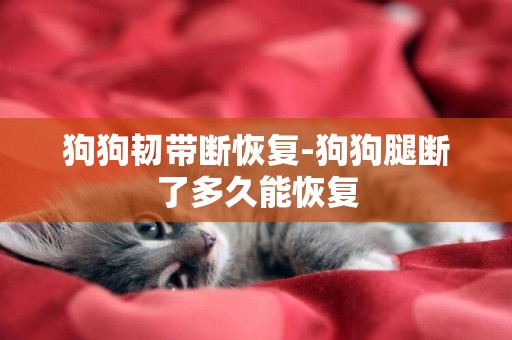 狗狗韌帶斷恢復-狗狗腿斷了多久能恢復