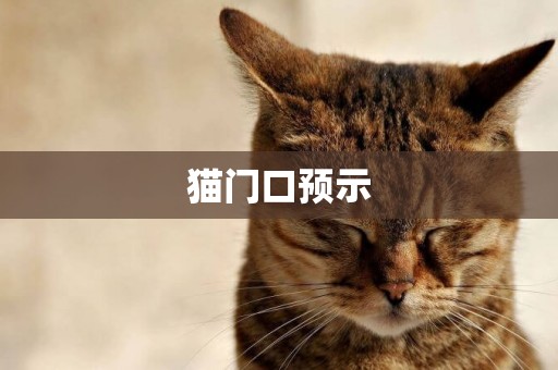 貓門口預示