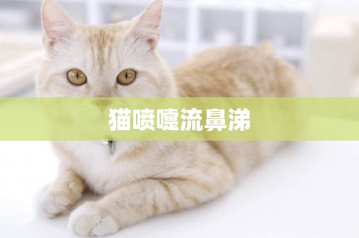 貓噴嚏流鼻涕