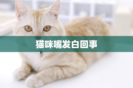 貓咪嘴發白回事