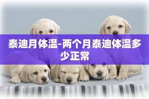 泰迪月體溫-兩個月泰迪體溫多少正常