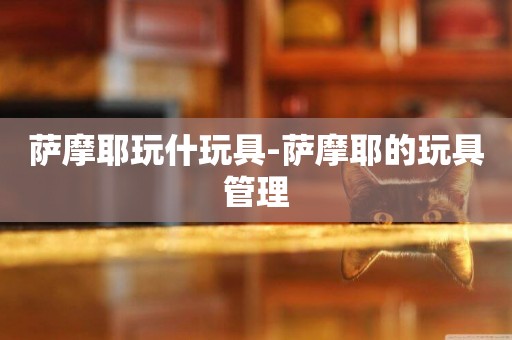 薩摩耶玩什玩具-薩摩耶的玩具管理