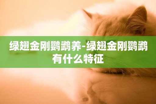 綠翅金剛鸚鵡養-綠翅金剛鸚鵡有什么特征