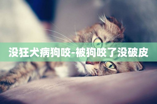 沒狂犬病狗咬-被狗咬了沒破皮