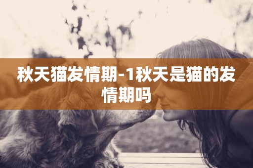 秋天貓發情期-1秋天是貓的發情期嗎