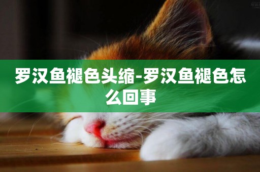 羅漢魚褪色頭縮-羅漢魚褪色怎么回事