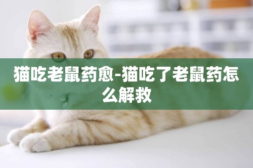 貓吃老鼠藥愈-貓吃了老鼠藥怎么解救