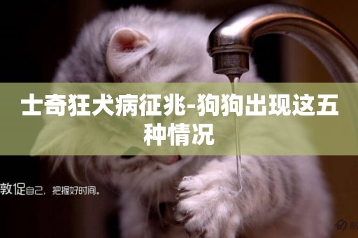 士奇狂犬病征兆-狗狗出現這五種情況