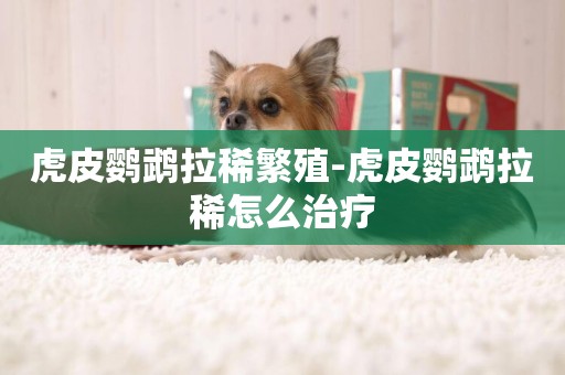 虎皮鸚鵡拉稀繁殖-虎皮鸚鵡拉稀怎么治療