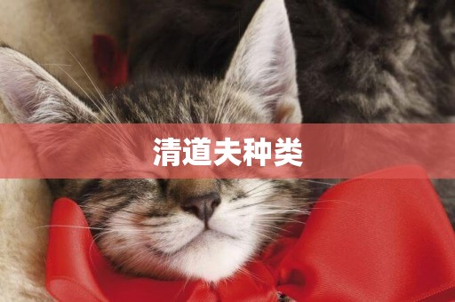 清道夫種類