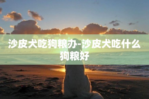 沙皮犬吃狗糧辦-沙皮犬吃什么狗糧好